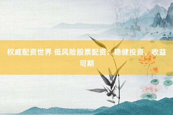 权威配资世界 低风险股票配资：稳健投资，收益可期