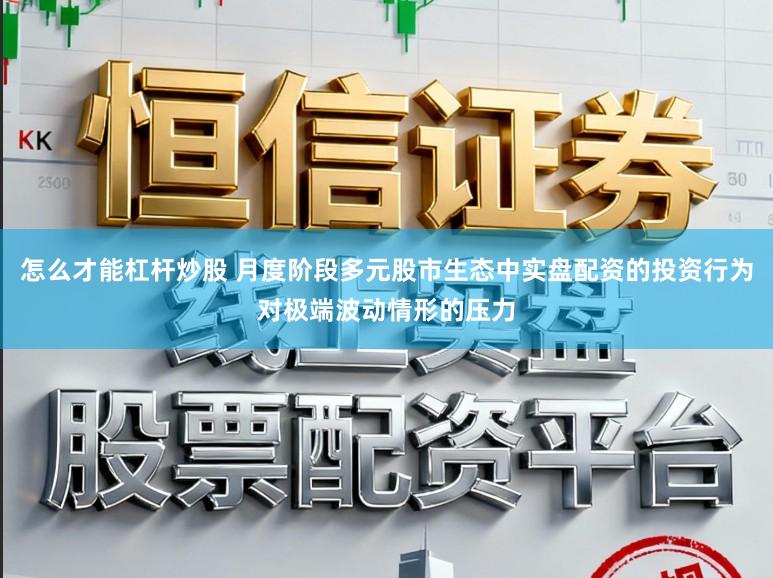 怎么才能杠杆炒股 月度阶段多元股市生态中实盘配资的投资行为对极端波动情形的压力